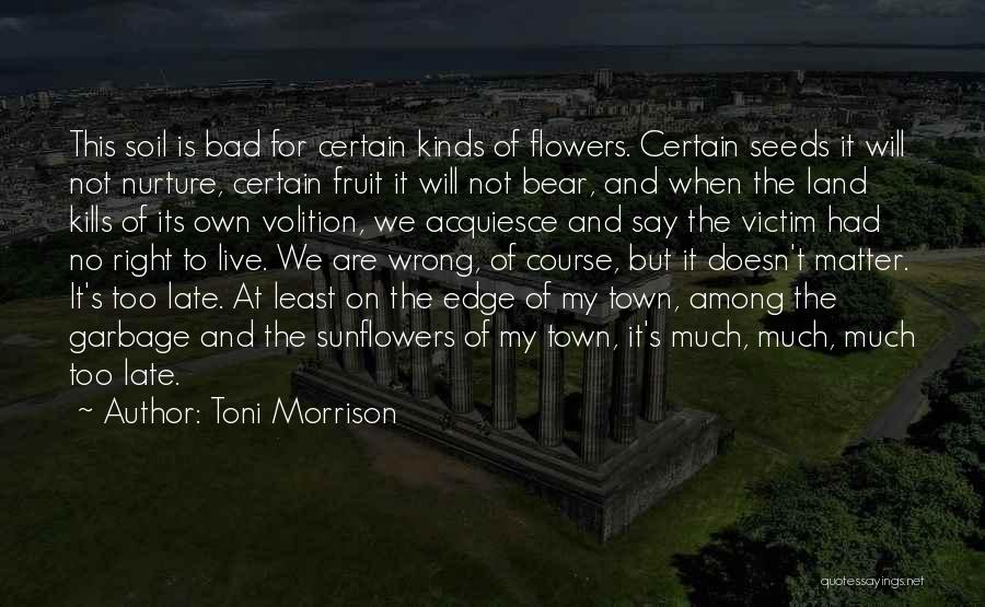 Toni Morrison Quotes: This Soil Is Bad For Certain Kinds Of Flowers. Certain Seeds It Will Not Nurture, Certain Fruit It Will Not