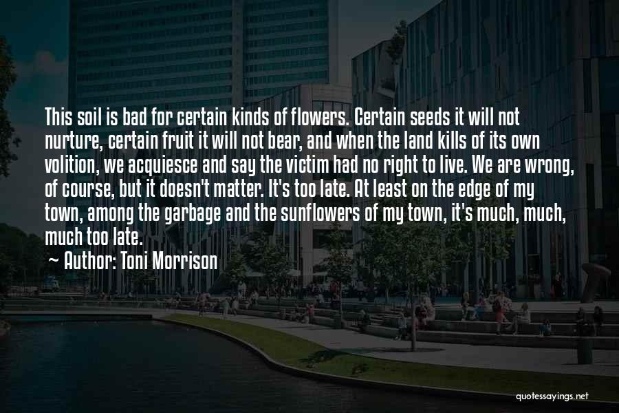 Toni Morrison Quotes: This Soil Is Bad For Certain Kinds Of Flowers. Certain Seeds It Will Not Nurture, Certain Fruit It Will Not