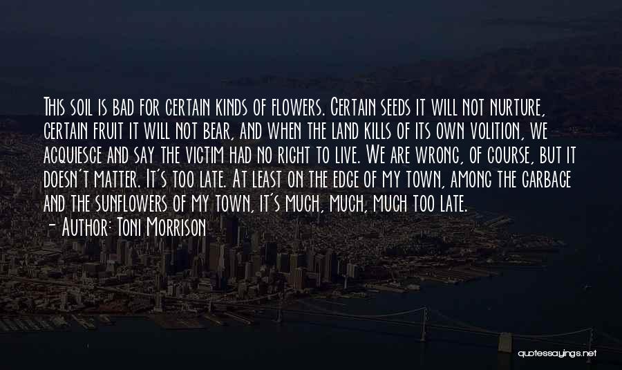 Toni Morrison Quotes: This Soil Is Bad For Certain Kinds Of Flowers. Certain Seeds It Will Not Nurture, Certain Fruit It Will Not