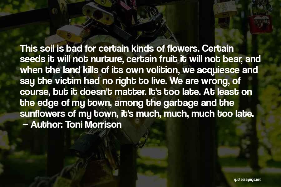 Toni Morrison Quotes: This Soil Is Bad For Certain Kinds Of Flowers. Certain Seeds It Will Not Nurture, Certain Fruit It Will Not