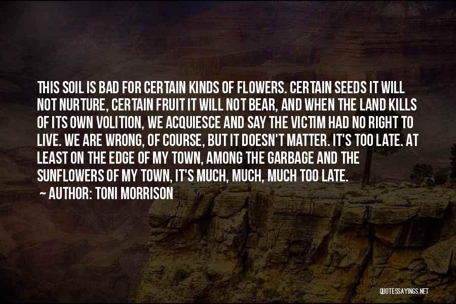 Toni Morrison Quotes: This Soil Is Bad For Certain Kinds Of Flowers. Certain Seeds It Will Not Nurture, Certain Fruit It Will Not