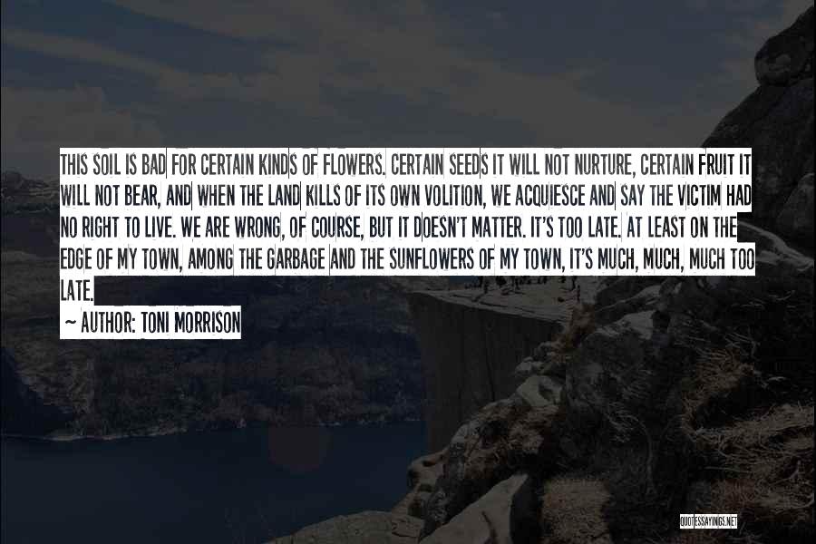 Toni Morrison Quotes: This Soil Is Bad For Certain Kinds Of Flowers. Certain Seeds It Will Not Nurture, Certain Fruit It Will Not