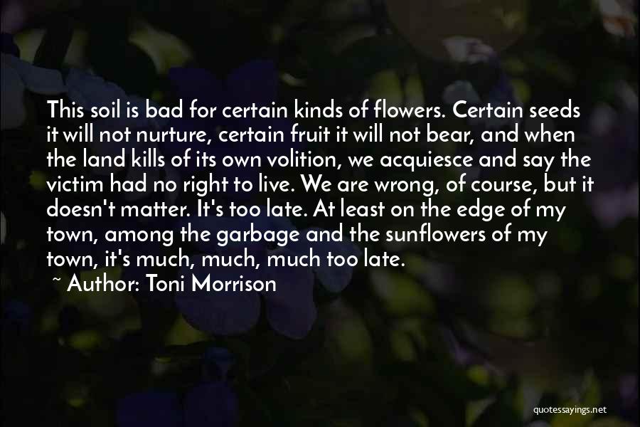 Toni Morrison Quotes: This Soil Is Bad For Certain Kinds Of Flowers. Certain Seeds It Will Not Nurture, Certain Fruit It Will Not