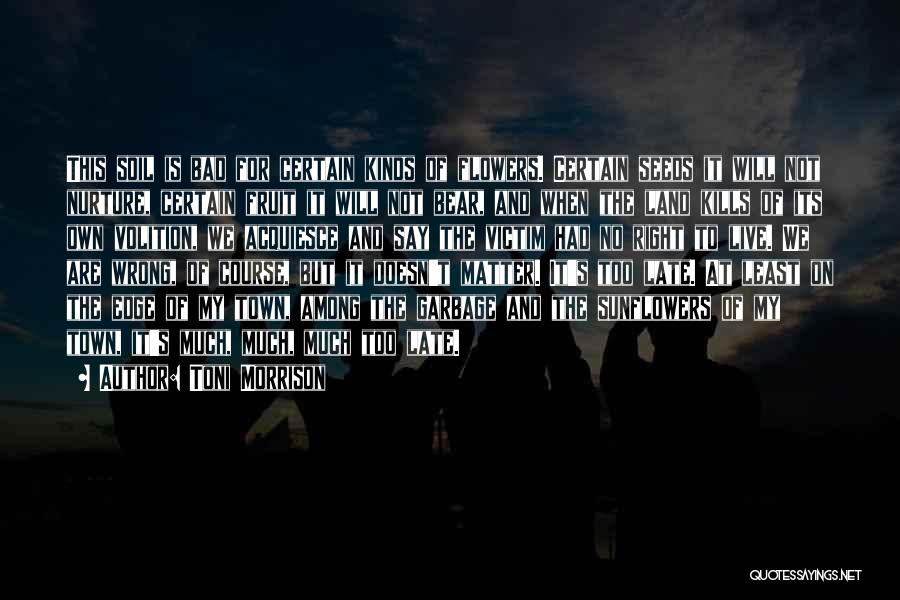 Toni Morrison Quotes: This Soil Is Bad For Certain Kinds Of Flowers. Certain Seeds It Will Not Nurture, Certain Fruit It Will Not