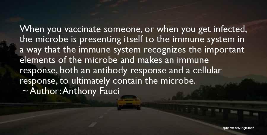Anthony Fauci Quotes: When You Vaccinate Someone, Or When You Get Infected, The Microbe Is Presenting Itself To The Immune System In A