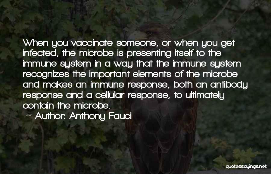 Anthony Fauci Quotes: When You Vaccinate Someone, Or When You Get Infected, The Microbe Is Presenting Itself To The Immune System In A