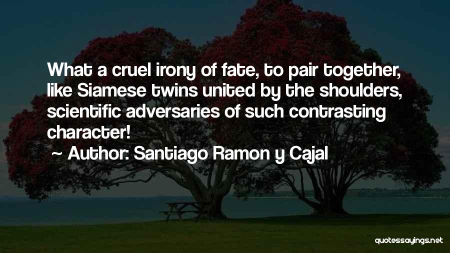 Santiago Ramon Y Cajal Quotes: What A Cruel Irony Of Fate, To Pair Together, Like Siamese Twins United By The Shoulders, Scientific Adversaries Of Such