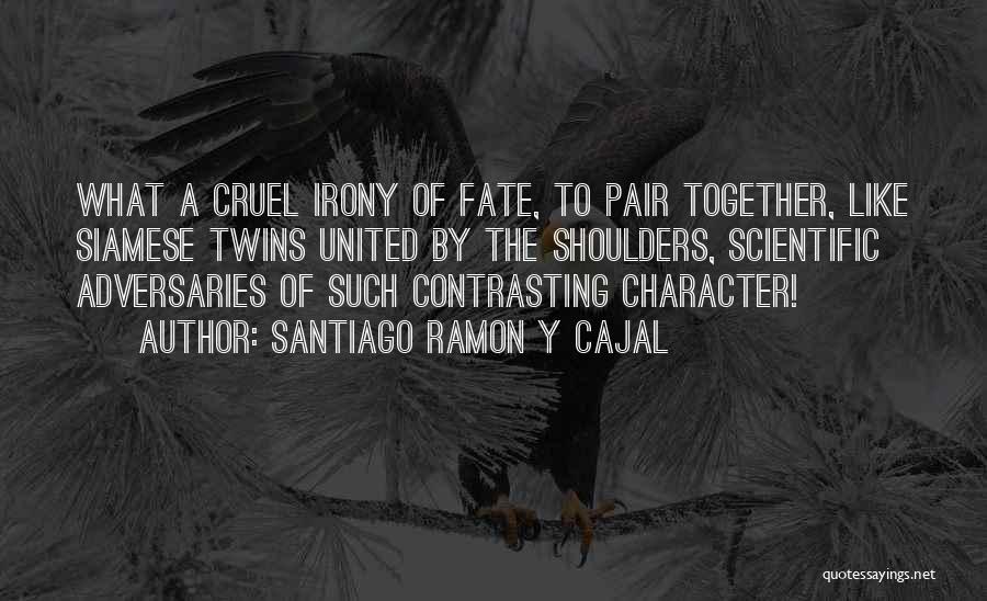 Santiago Ramon Y Cajal Quotes: What A Cruel Irony Of Fate, To Pair Together, Like Siamese Twins United By The Shoulders, Scientific Adversaries Of Such