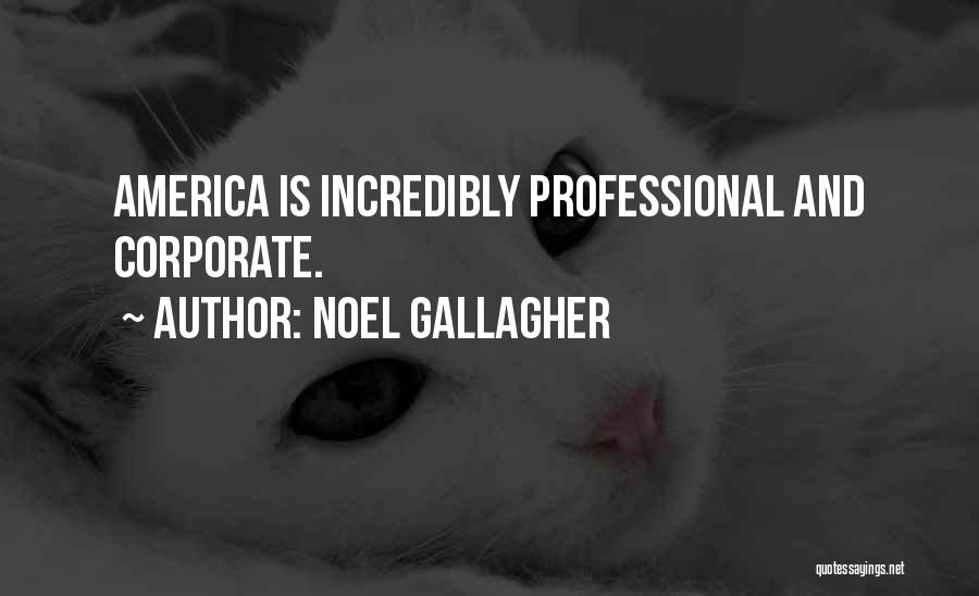 Noel Gallagher Quotes: America Is Incredibly Professional And Corporate.
