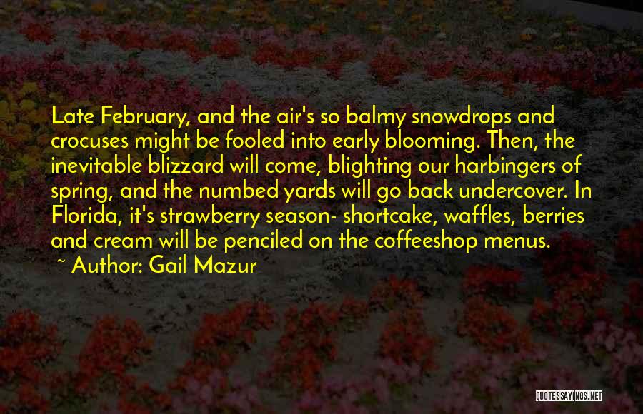 Gail Mazur Quotes: Late February, And The Air's So Balmy Snowdrops And Crocuses Might Be Fooled Into Early Blooming. Then, The Inevitable Blizzard