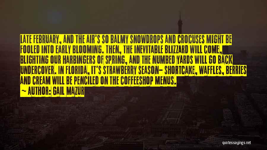 Gail Mazur Quotes: Late February, And The Air's So Balmy Snowdrops And Crocuses Might Be Fooled Into Early Blooming. Then, The Inevitable Blizzard