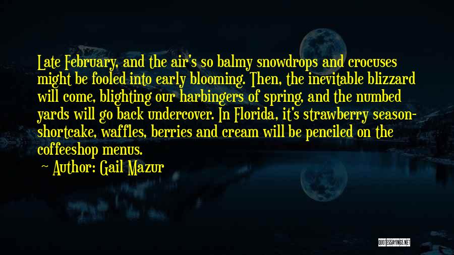 Gail Mazur Quotes: Late February, And The Air's So Balmy Snowdrops And Crocuses Might Be Fooled Into Early Blooming. Then, The Inevitable Blizzard