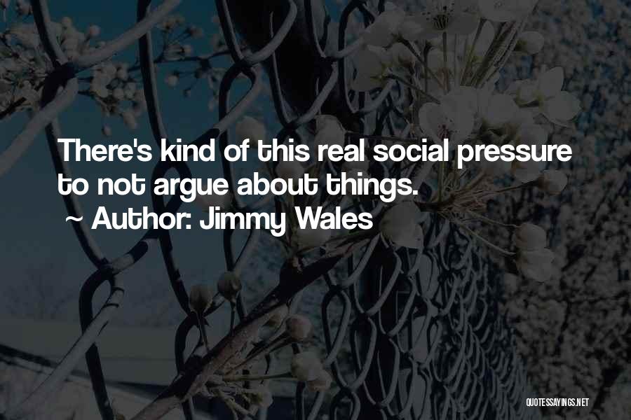 Jimmy Wales Quotes: There's Kind Of This Real Social Pressure To Not Argue About Things.
