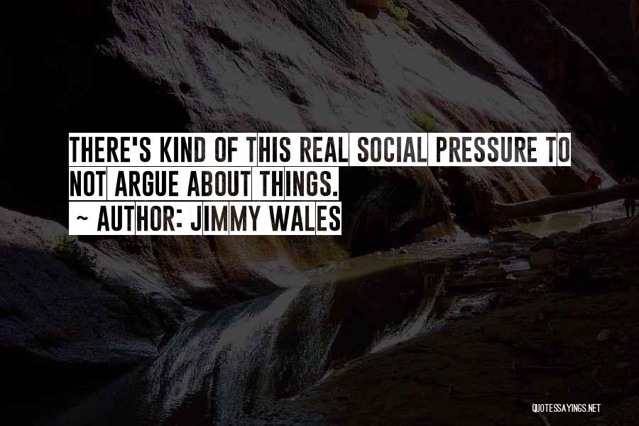 Jimmy Wales Quotes: There's Kind Of This Real Social Pressure To Not Argue About Things.