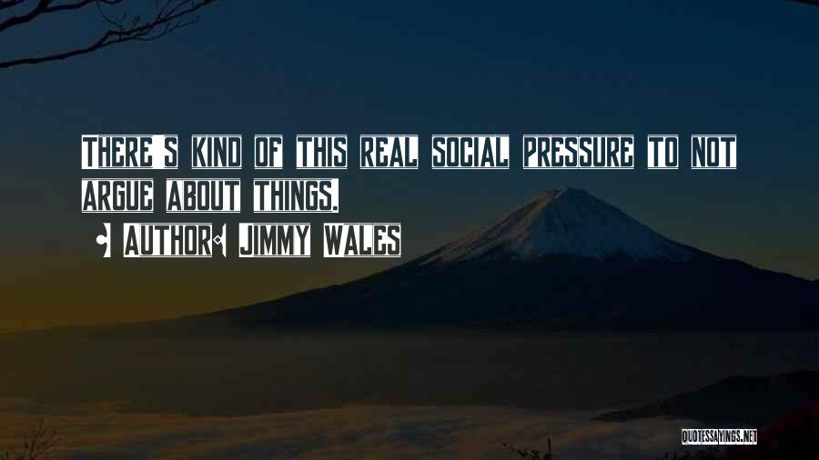 Jimmy Wales Quotes: There's Kind Of This Real Social Pressure To Not Argue About Things.