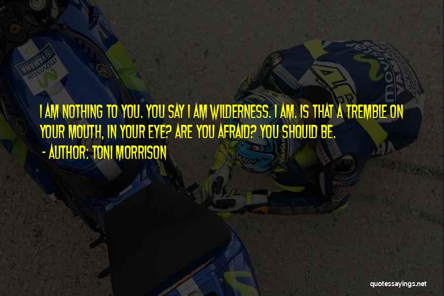 Toni Morrison Quotes: I Am Nothing To You. You Say I Am Wilderness. I Am. Is That A Tremble On Your Mouth, In