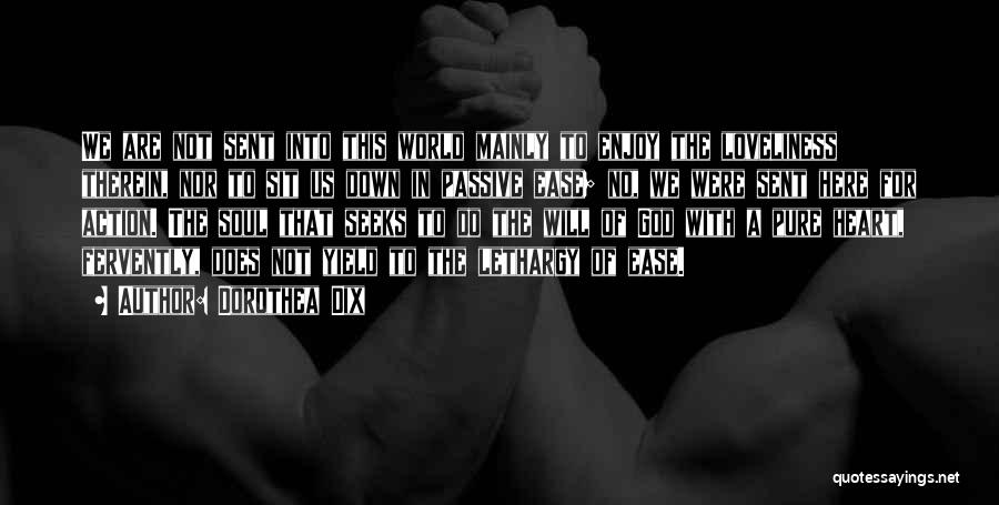 Dorothea Dix Quotes: We Are Not Sent Into This World Mainly To Enjoy The Loveliness Therein, Nor To Sit Us Down In Passive