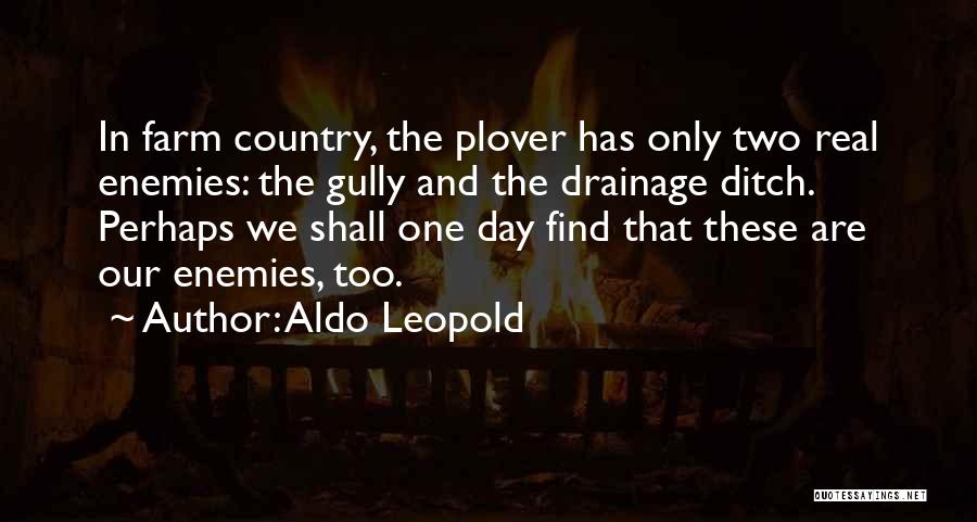 Aldo Leopold Quotes: In Farm Country, The Plover Has Only Two Real Enemies: The Gully And The Drainage Ditch. Perhaps We Shall One