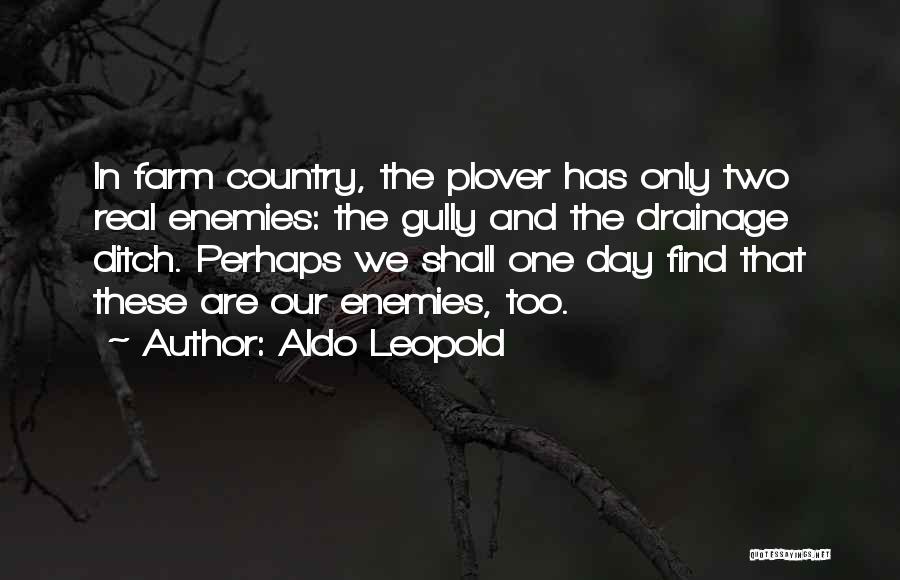 Aldo Leopold Quotes: In Farm Country, The Plover Has Only Two Real Enemies: The Gully And The Drainage Ditch. Perhaps We Shall One