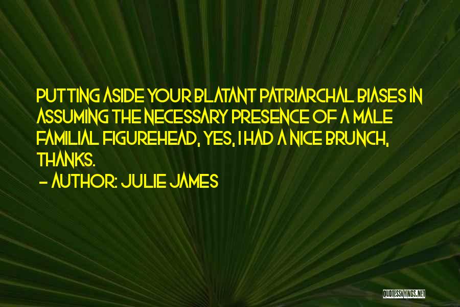 Julie James Quotes: Putting Aside Your Blatant Patriarchal Biases In Assuming The Necessary Presence Of A Male Familial Figurehead, Yes, I Had A