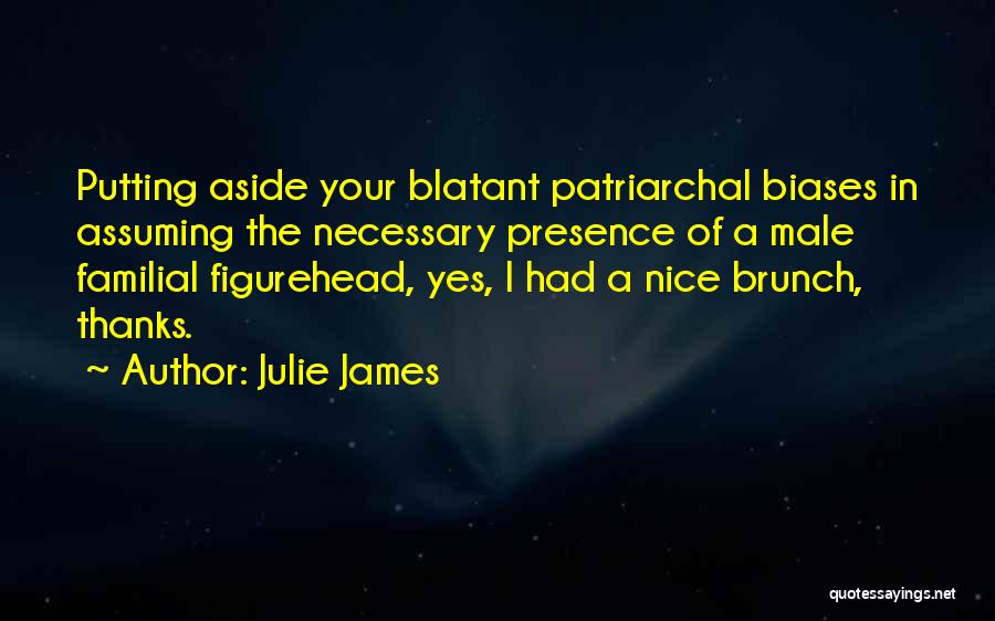 Julie James Quotes: Putting Aside Your Blatant Patriarchal Biases In Assuming The Necessary Presence Of A Male Familial Figurehead, Yes, I Had A