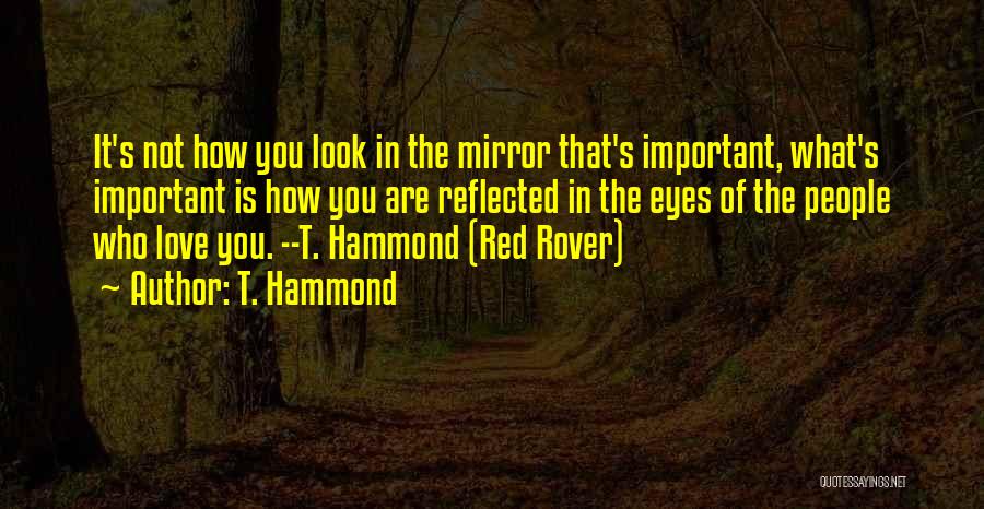 T. Hammond Quotes: It's Not How You Look In The Mirror That's Important, What's Important Is How You Are Reflected In The Eyes