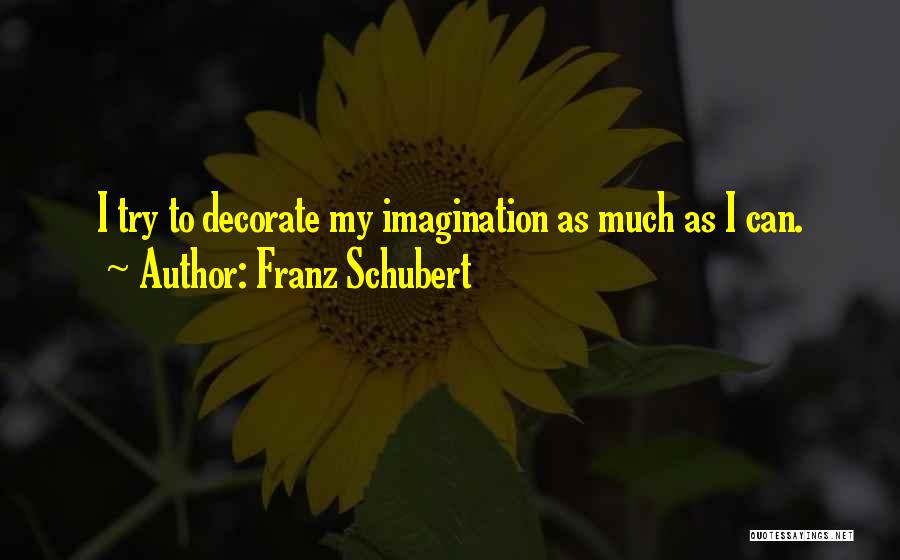 Franz Schubert Quotes: I Try To Decorate My Imagination As Much As I Can.