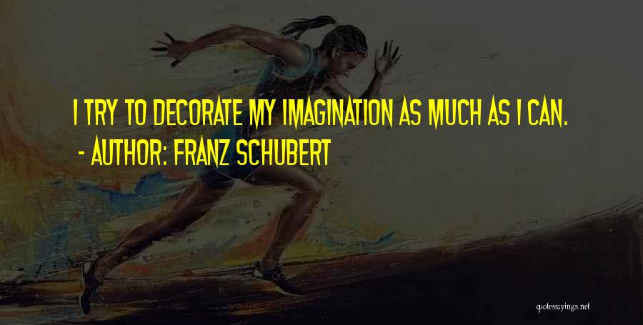 Franz Schubert Quotes: I Try To Decorate My Imagination As Much As I Can.