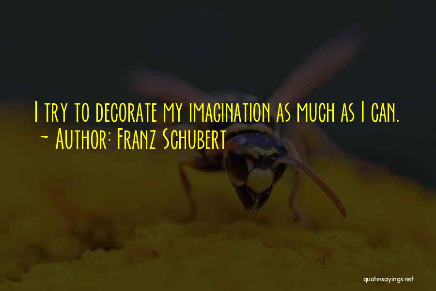 Franz Schubert Quotes: I Try To Decorate My Imagination As Much As I Can.