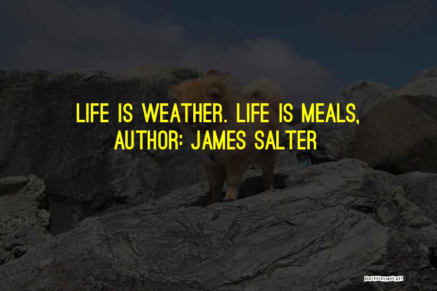 James Salter Quotes: Life Is Weather. Life Is Meals,