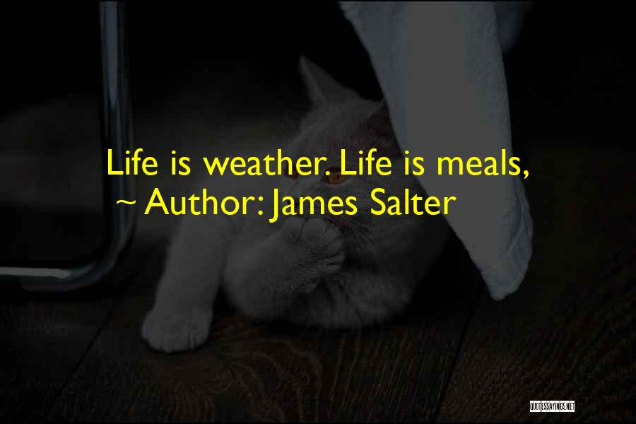 James Salter Quotes: Life Is Weather. Life Is Meals,