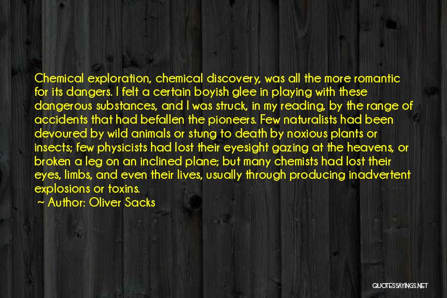 Oliver Sacks Quotes: Chemical Exploration, Chemical Discovery, Was All The More Romantic For Its Dangers. I Felt A Certain Boyish Glee In Playing