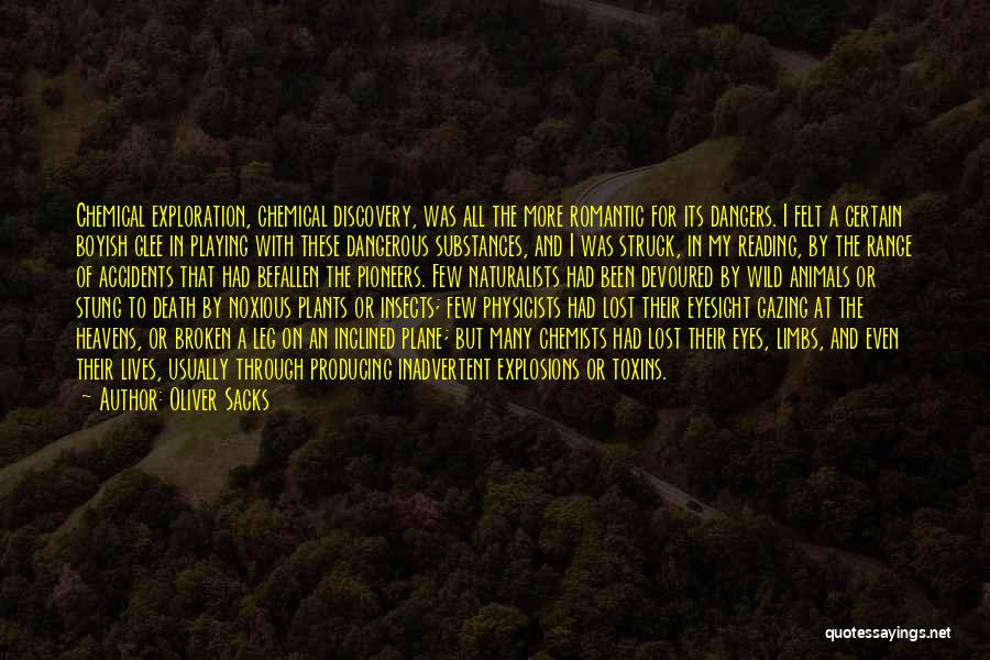 Oliver Sacks Quotes: Chemical Exploration, Chemical Discovery, Was All The More Romantic For Its Dangers. I Felt A Certain Boyish Glee In Playing