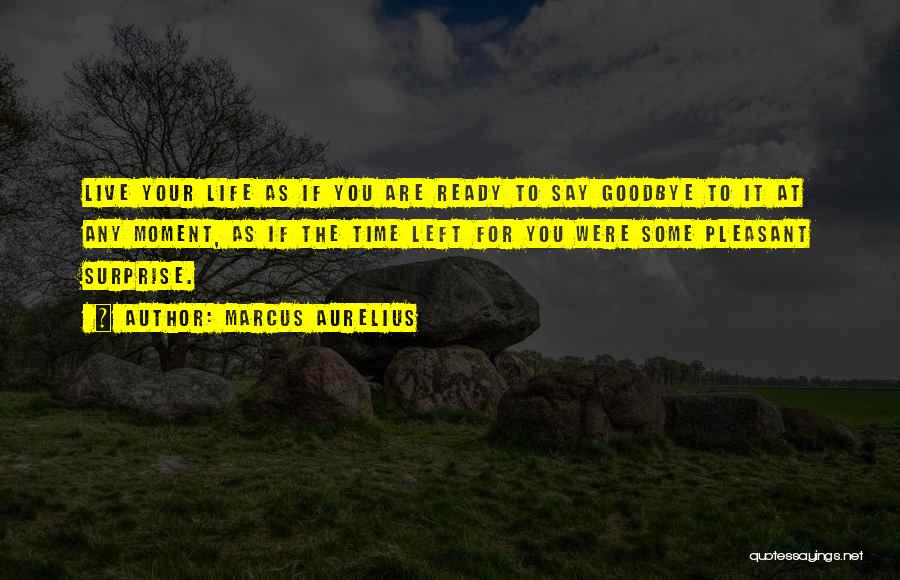 Marcus Aurelius Quotes: Live Your Life As If You Are Ready To Say Goodbye To It At Any Moment, As If The Time