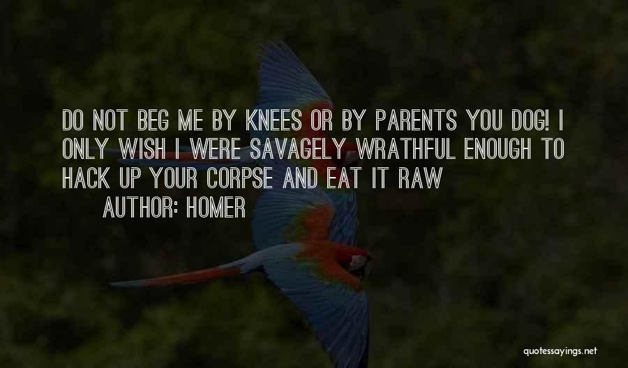 Homer Quotes: Do Not Beg Me By Knees Or By Parents You Dog! I Only Wish I Were Savagely Wrathful Enough To