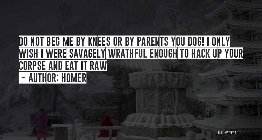 Homer Quotes: Do Not Beg Me By Knees Or By Parents You Dog! I Only Wish I Were Savagely Wrathful Enough To