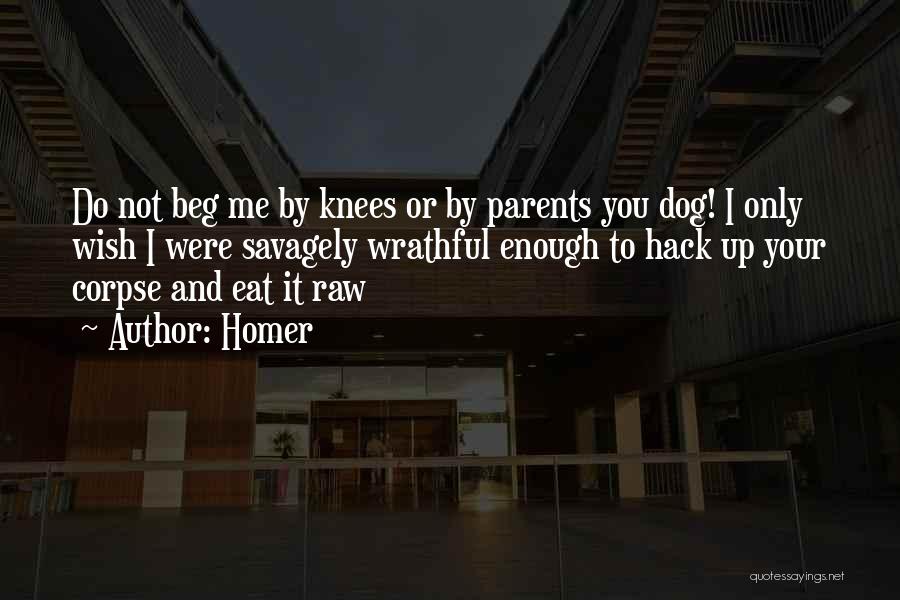 Homer Quotes: Do Not Beg Me By Knees Or By Parents You Dog! I Only Wish I Were Savagely Wrathful Enough To