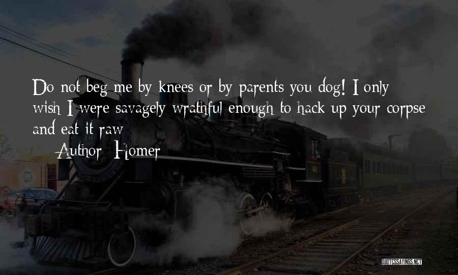 Homer Quotes: Do Not Beg Me By Knees Or By Parents You Dog! I Only Wish I Were Savagely Wrathful Enough To