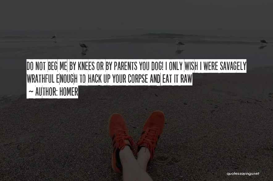 Homer Quotes: Do Not Beg Me By Knees Or By Parents You Dog! I Only Wish I Were Savagely Wrathful Enough To