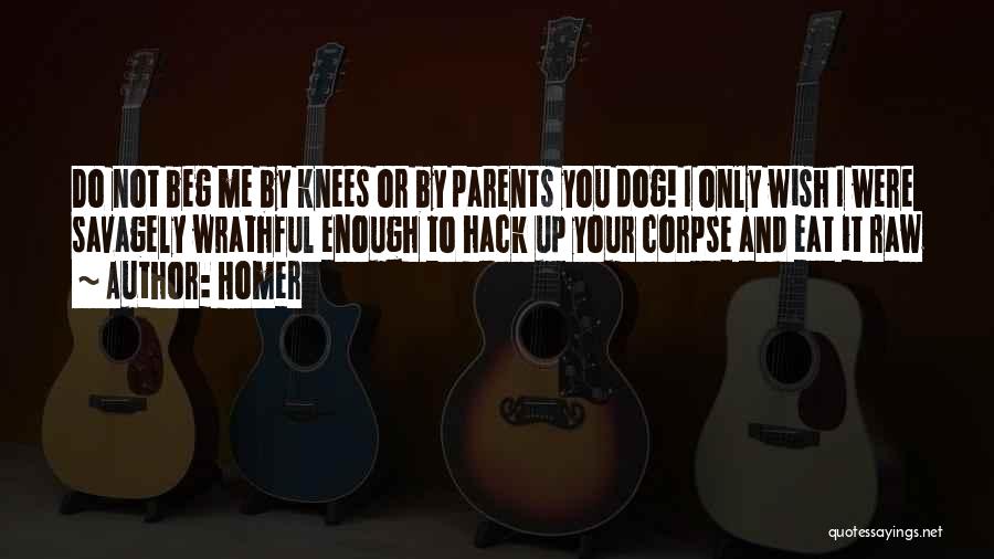 Homer Quotes: Do Not Beg Me By Knees Or By Parents You Dog! I Only Wish I Were Savagely Wrathful Enough To