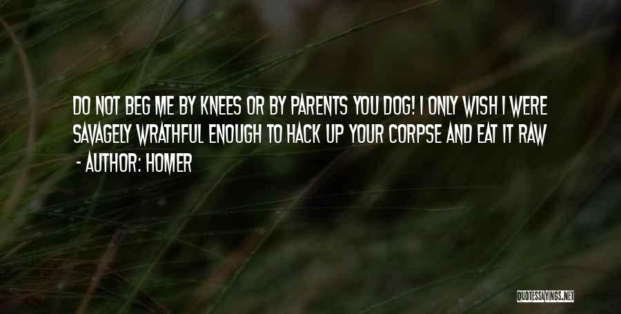 Homer Quotes: Do Not Beg Me By Knees Or By Parents You Dog! I Only Wish I Were Savagely Wrathful Enough To