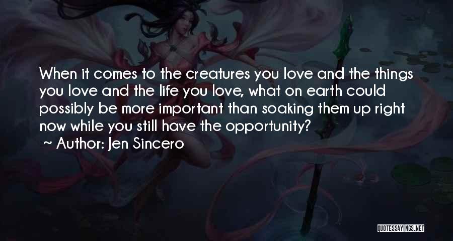 Jen Sincero Quotes: When It Comes To The Creatures You Love And The Things You Love And The Life You Love, What On
