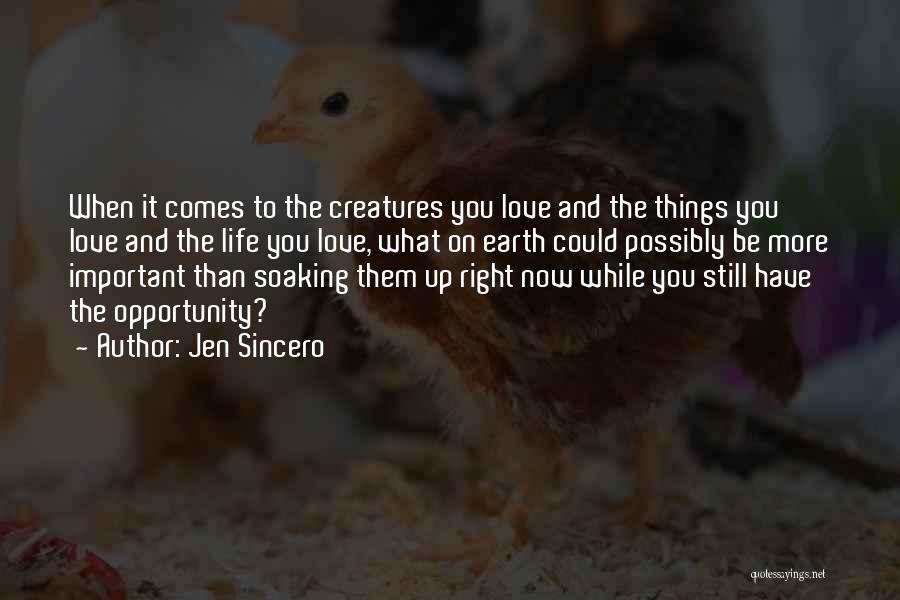 Jen Sincero Quotes: When It Comes To The Creatures You Love And The Things You Love And The Life You Love, What On