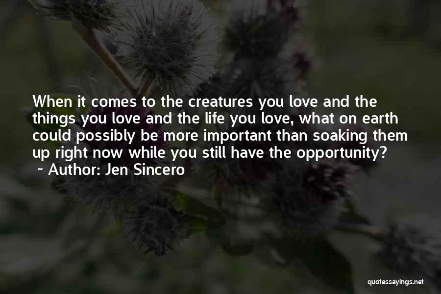 Jen Sincero Quotes: When It Comes To The Creatures You Love And The Things You Love And The Life You Love, What On