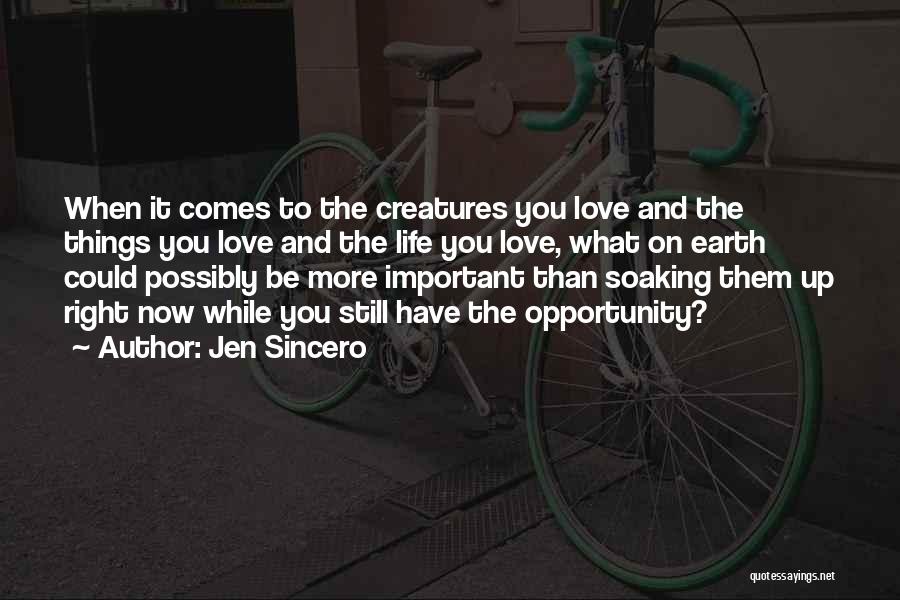 Jen Sincero Quotes: When It Comes To The Creatures You Love And The Things You Love And The Life You Love, What On