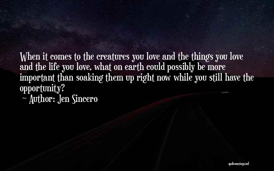 Jen Sincero Quotes: When It Comes To The Creatures You Love And The Things You Love And The Life You Love, What On