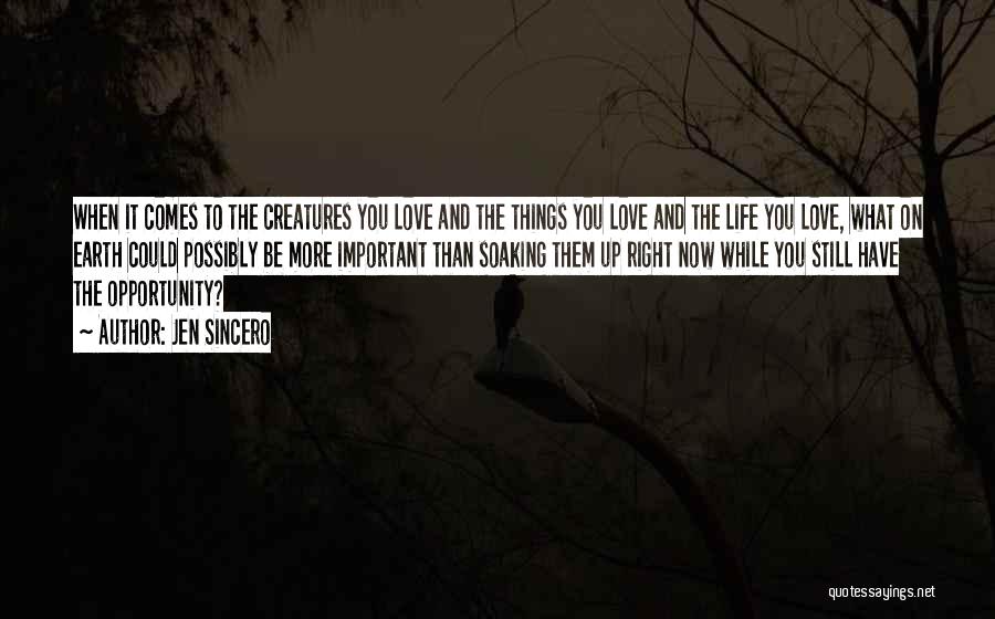 Jen Sincero Quotes: When It Comes To The Creatures You Love And The Things You Love And The Life You Love, What On