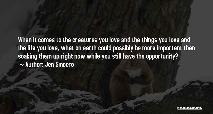 Jen Sincero Quotes: When It Comes To The Creatures You Love And The Things You Love And The Life You Love, What On