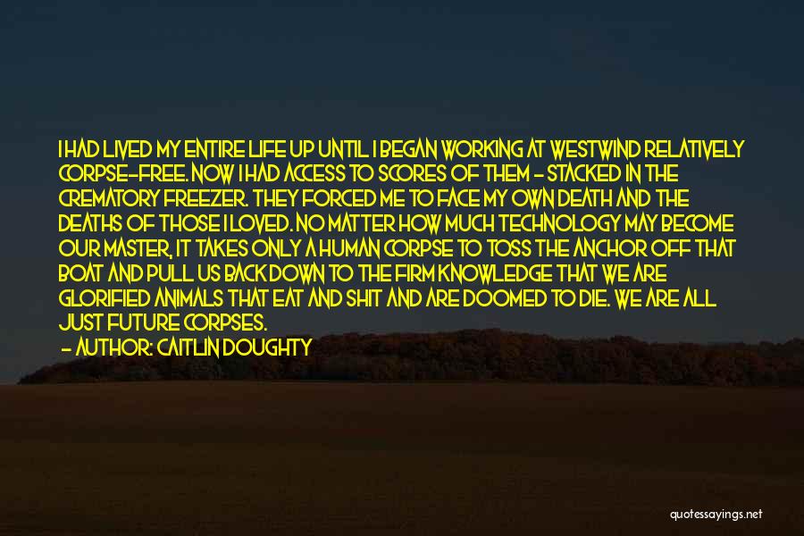 Caitlin Doughty Quotes: I Had Lived My Entire Life Up Until I Began Working At Westwind Relatively Corpse-free. Now I Had Access To