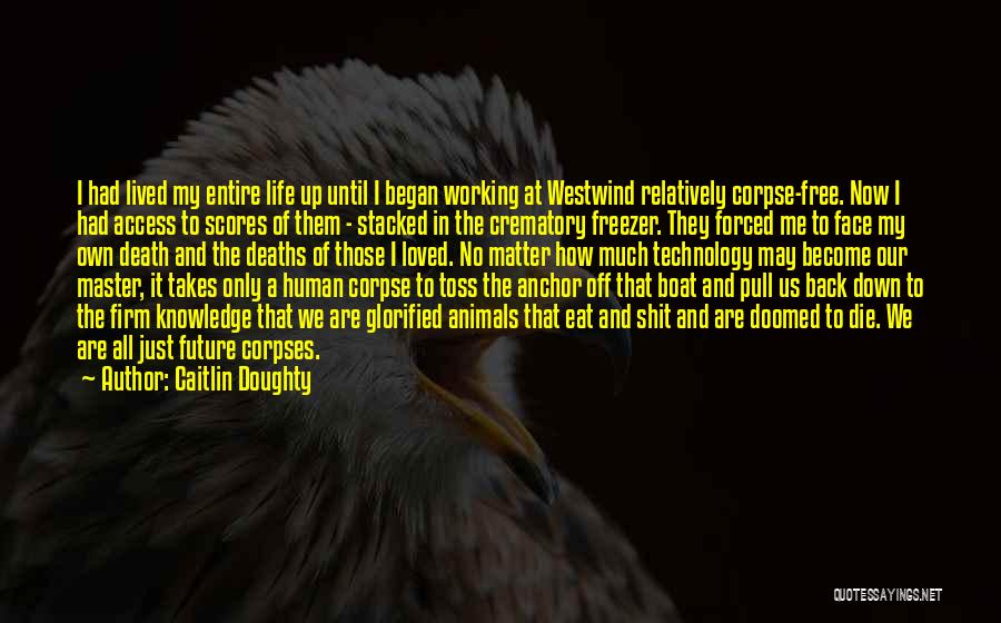 Caitlin Doughty Quotes: I Had Lived My Entire Life Up Until I Began Working At Westwind Relatively Corpse-free. Now I Had Access To